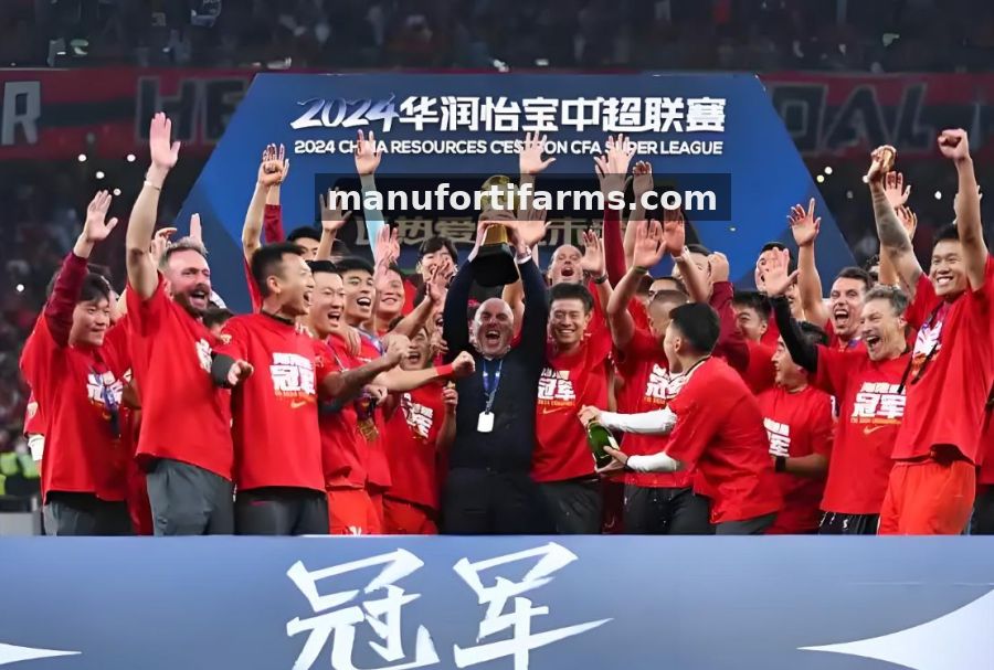 搜球吧2026年平台内容与体验升级